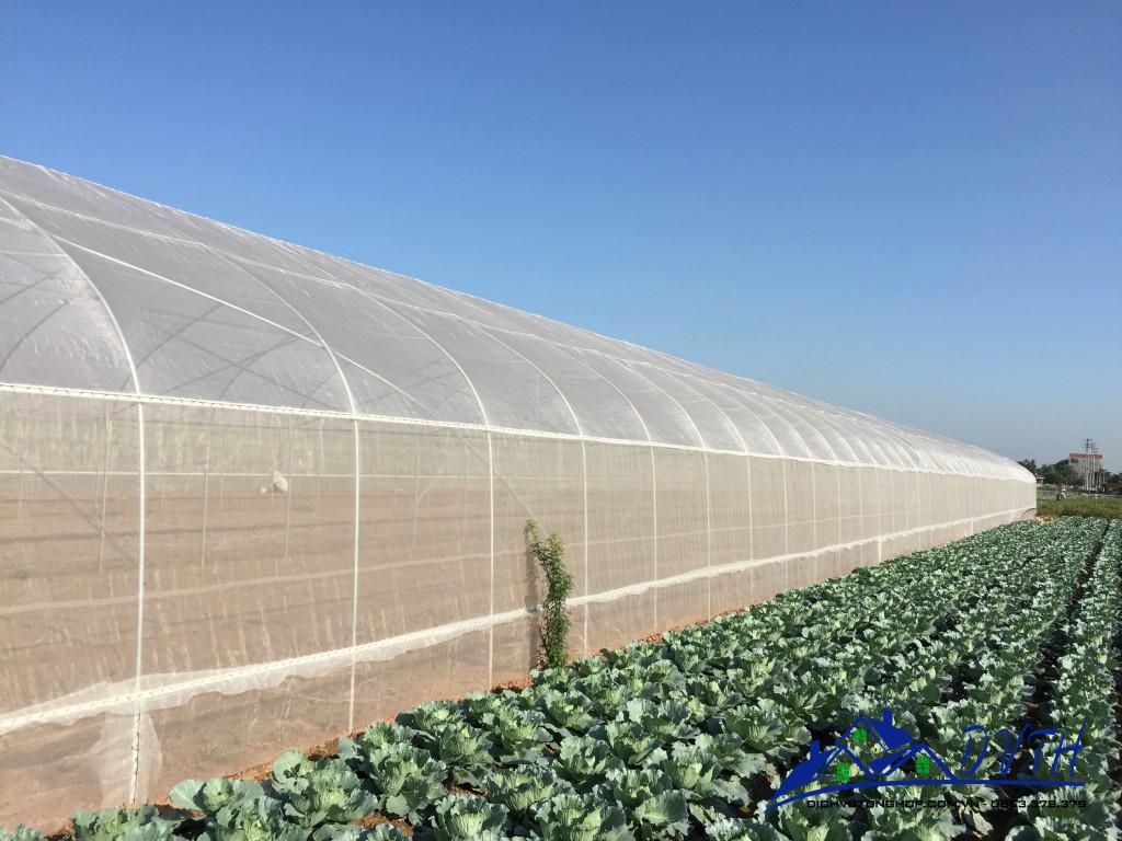 Giá bán lưới tại Kiên Giang